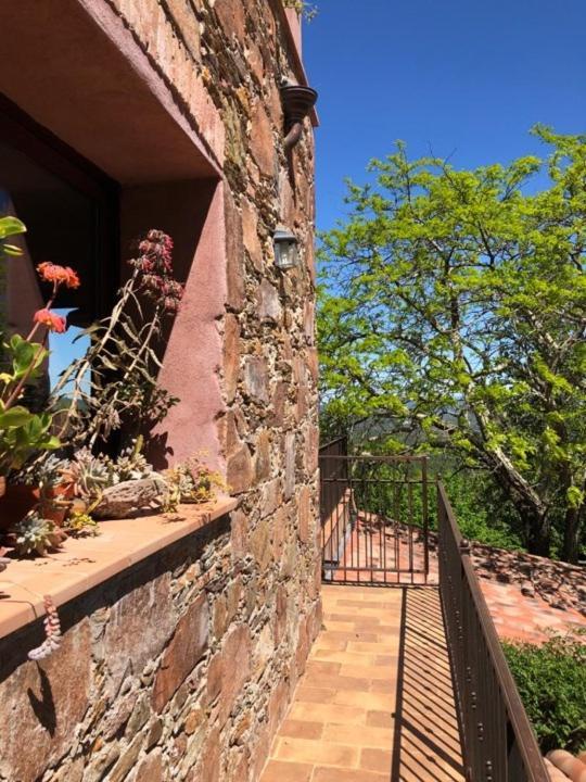 Bed And Breakfast La Maison De Nathalie Les Mayons Екстер'єр фото