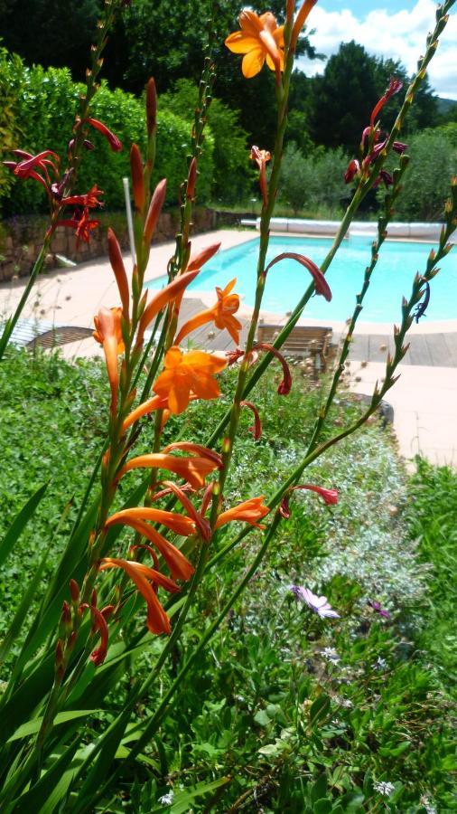 Bed And Breakfast La Maison De Nathalie Les Mayons Екстер'єр фото